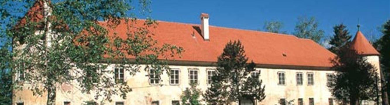 Grajsko poslopje