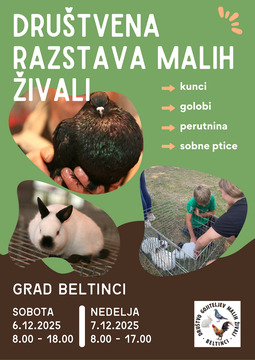 RAZSTAVA MALIH ŽIVALI (1)