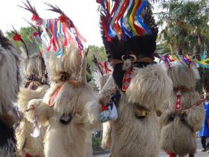 12628574_520476408121085_5339290619577028093_o