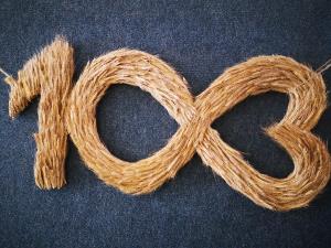 68668205_2618982084799935_3956469043522699264_o