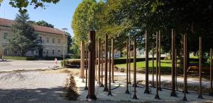 FB_IMG_1565444963025