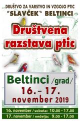 drustvena_razstava_ptic