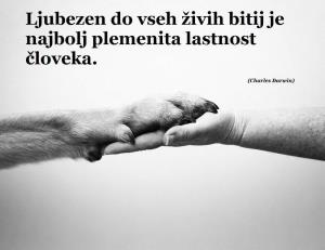 FB_IMG_1604522861502