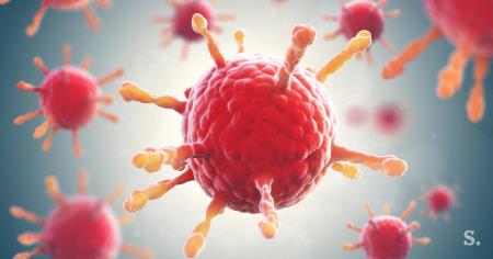 cbe2a8021ab2172c570b-gripa-virus