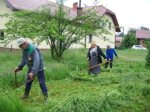 zerdin_kosnja_trave_na_stari_nacin_v_beltincih_10